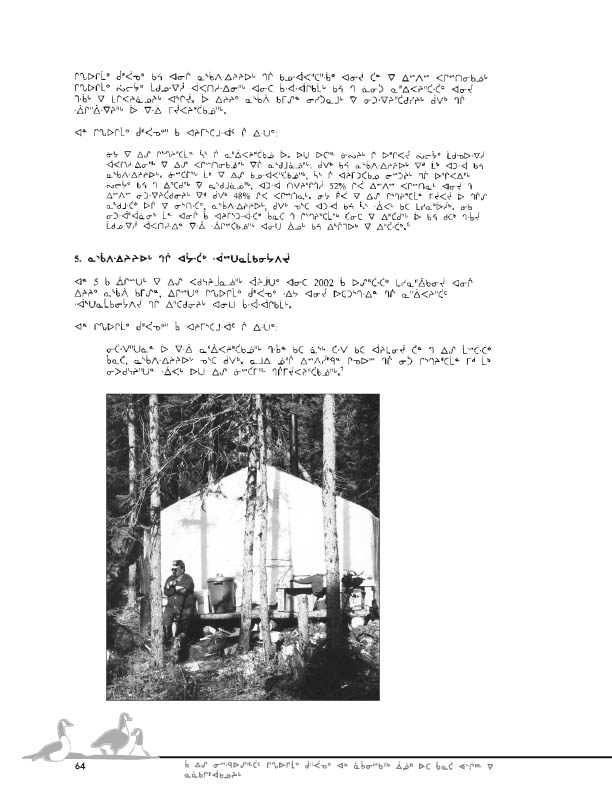 11923 CNC Report 2004_CREE - page 64